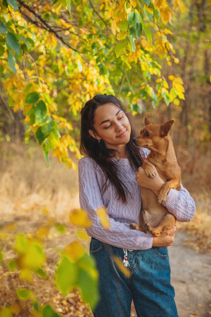 Makanan Anjing Yang Murah