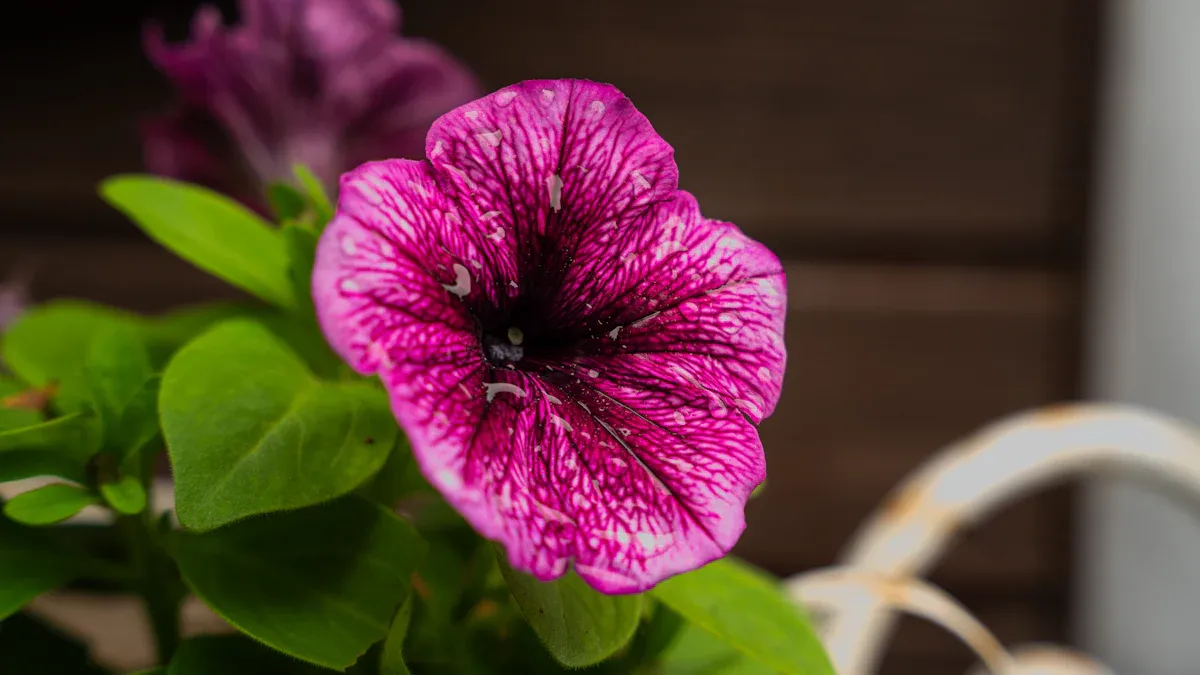 Protecting Your Garden