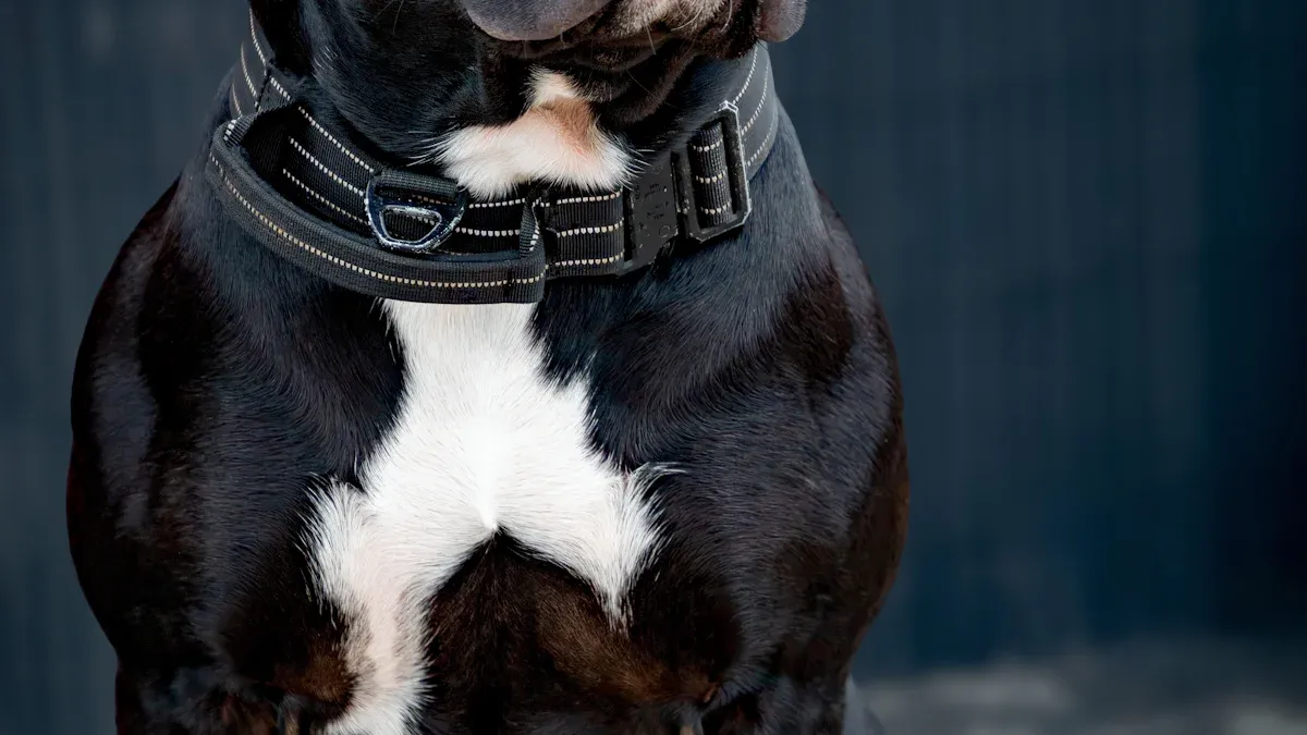 American Bulldog Training: Essential Tips and Techniques for Obedience and Socialization