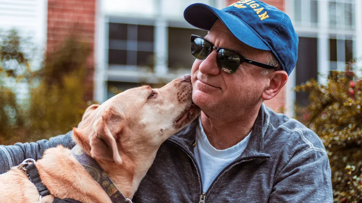 How Old Are Dogs Mentally?