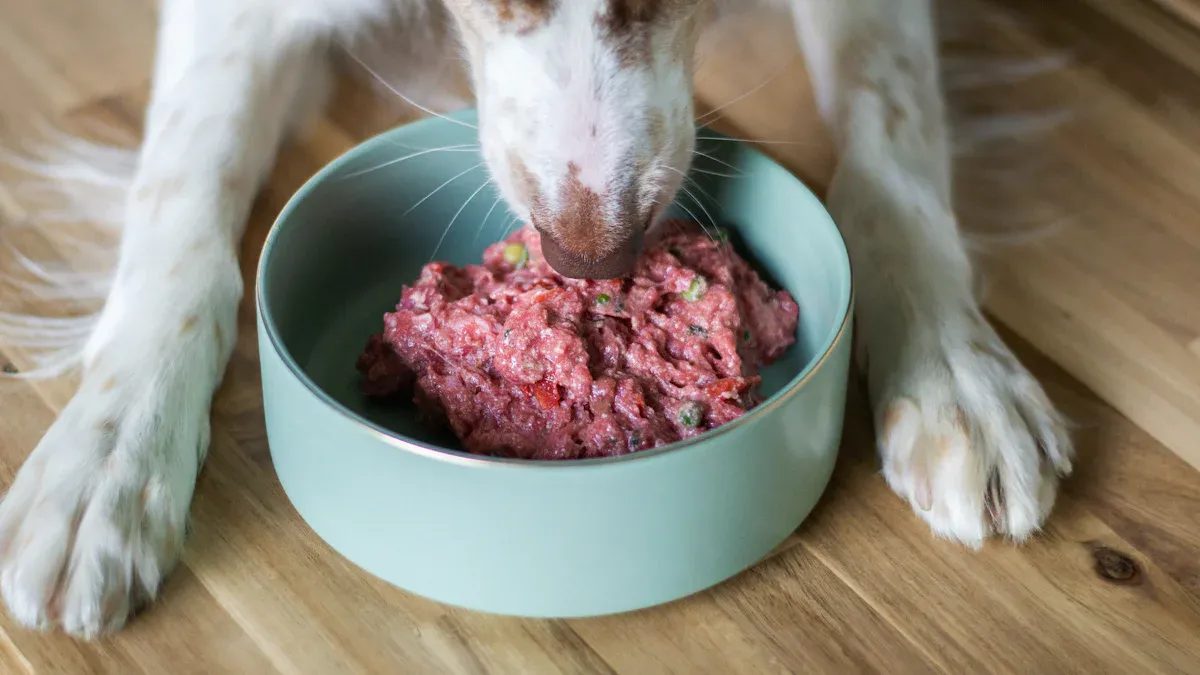 10 Superfoods That Boost Your Dog’s Immune System