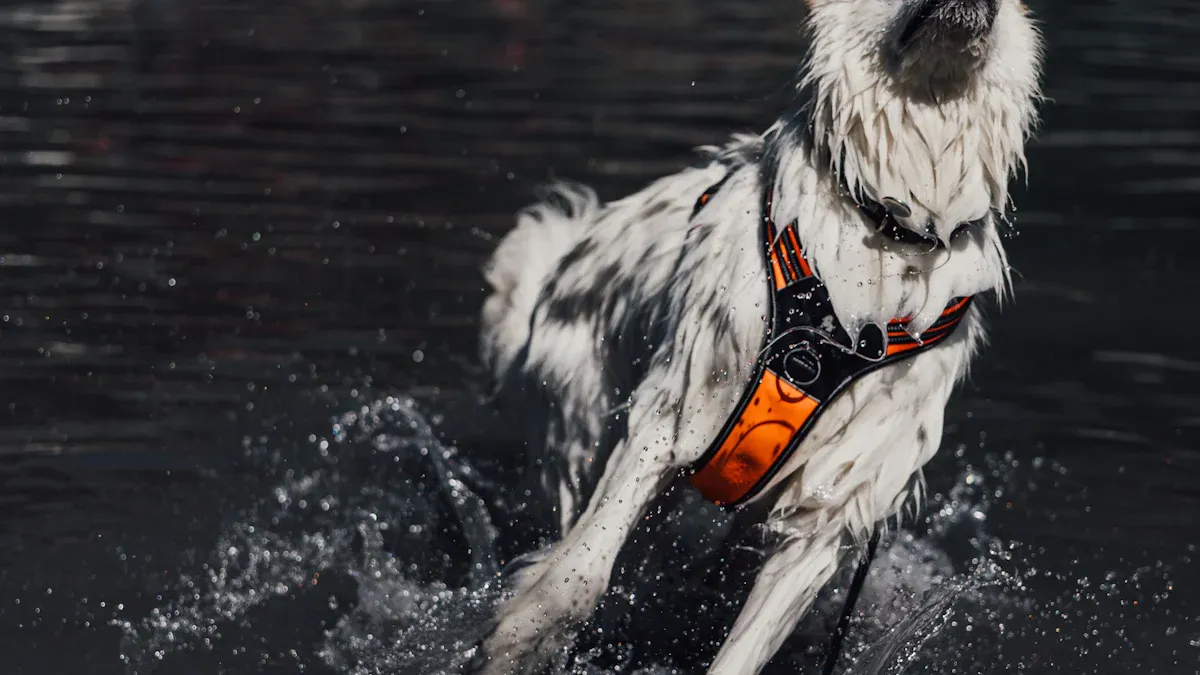 Top 10 Dog Breeds That Love to Swim