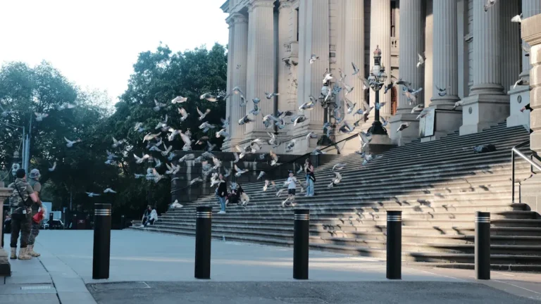 Birds In Melbourne: A Checklist and Guide to Urban and Suburban Birdlife