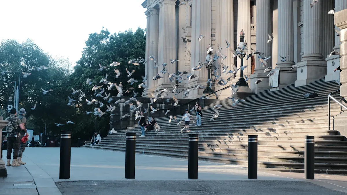Birds In Melbourne: A Checklist and Guide to Urban and Suburban Birdlife