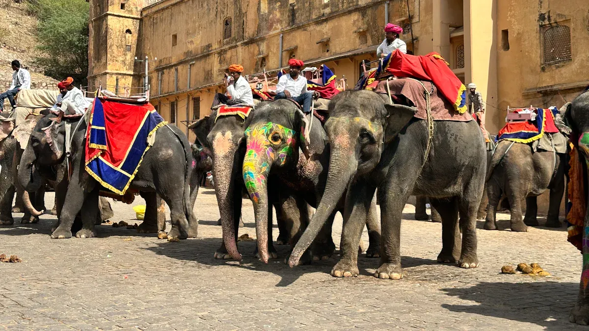 Historical Context of Circus Animal Abuse