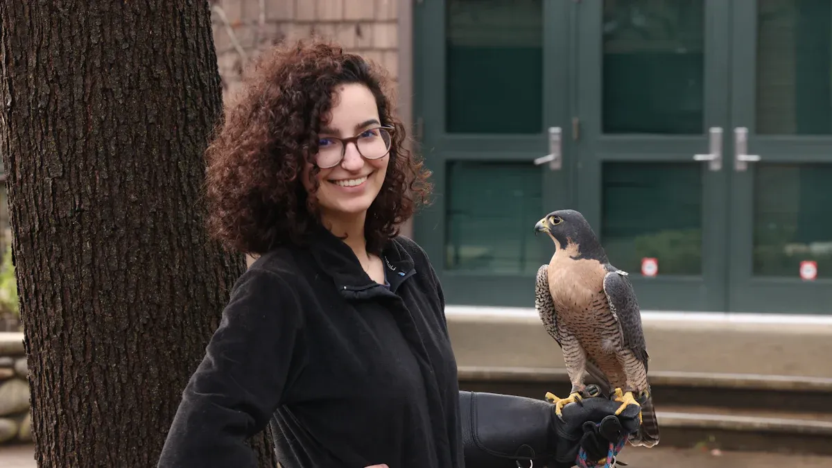 Common Hawk Species and Human Interaction