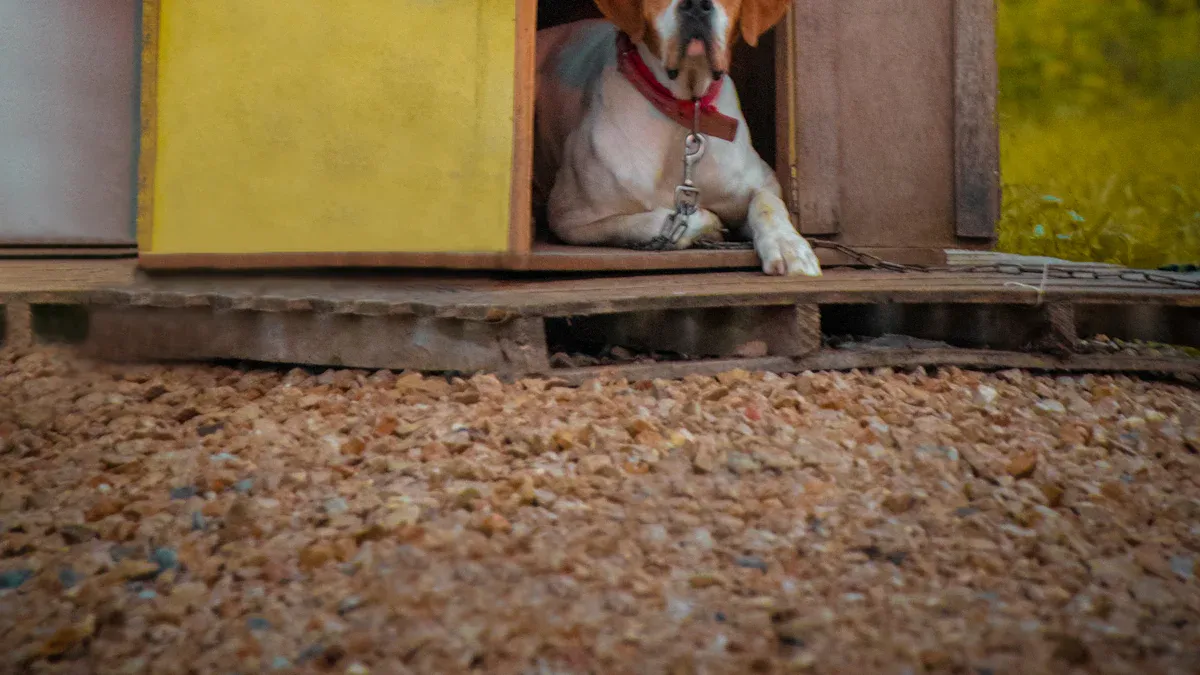 Dog Boarding: Benefits, Facilities, and Choosing the Best Canine Care