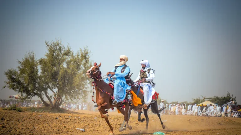 How Do Race Horses Get Their Names?