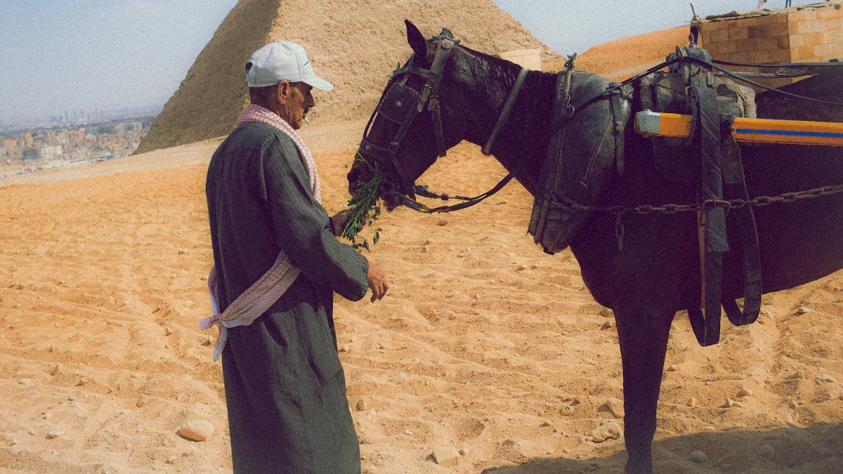 Best Foods to Feed Horses