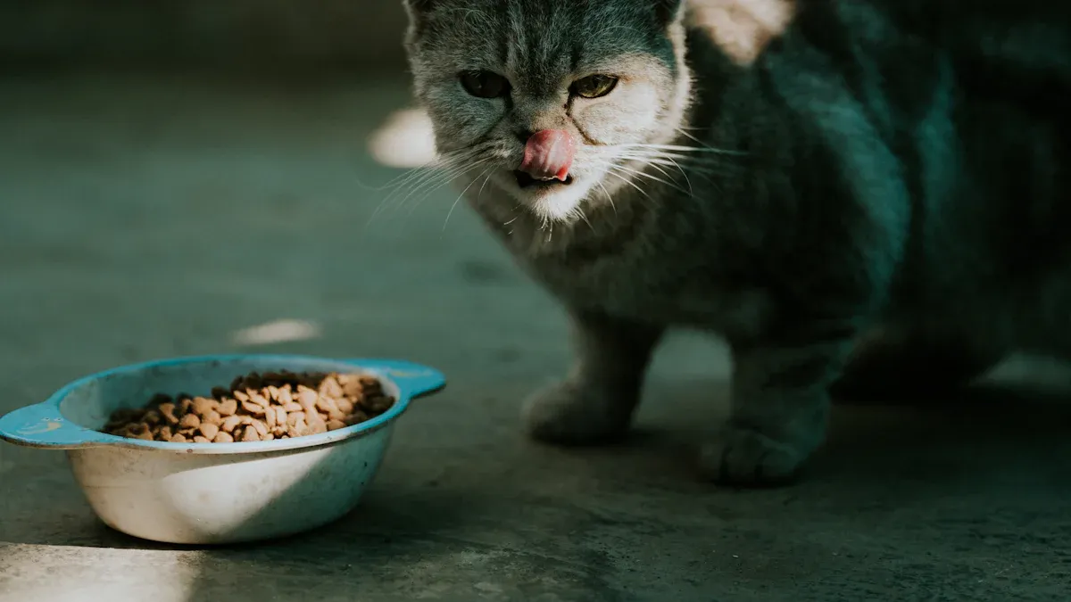 How Much Fiber Do Cats Need?