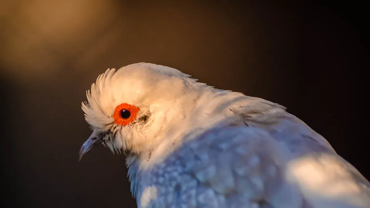 Identifying Common Eye Diseases: Symptoms