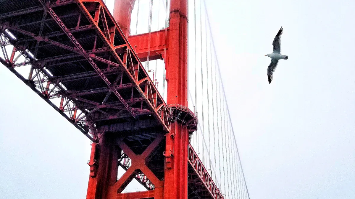 San Francisco and Peninsula Birding