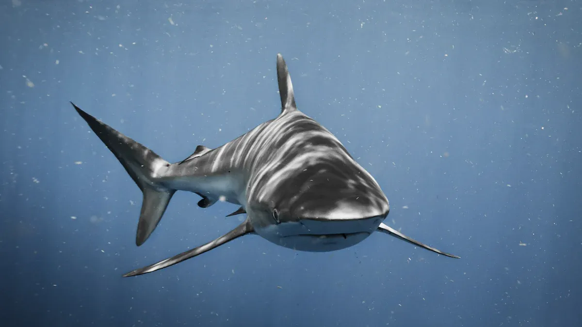 Megalodon Shark Dominance