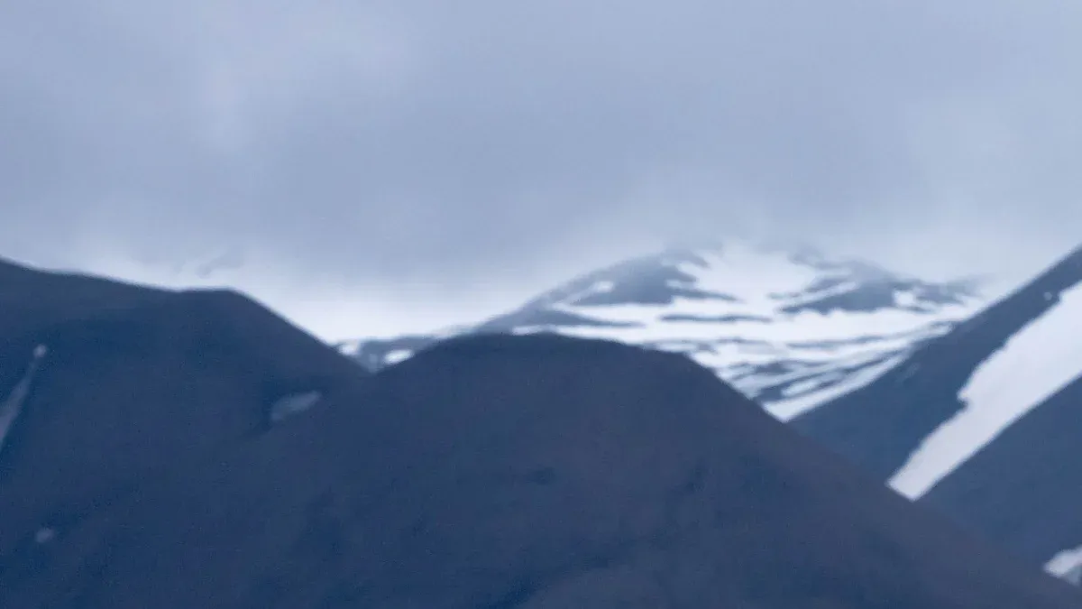 Alpine Regions and Avian Species