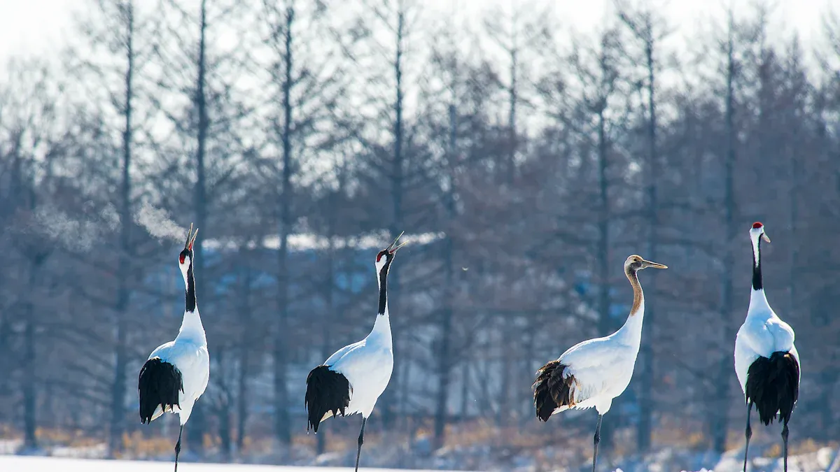 Migratory Birds: Seasonal Visitors