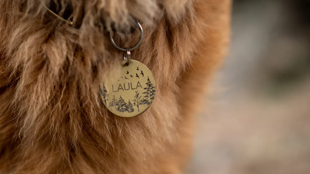 Replacing a Lost Rabies Tag