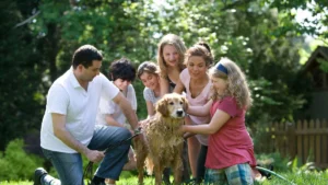 15 Dog Breeds That Make the Best House Dogs