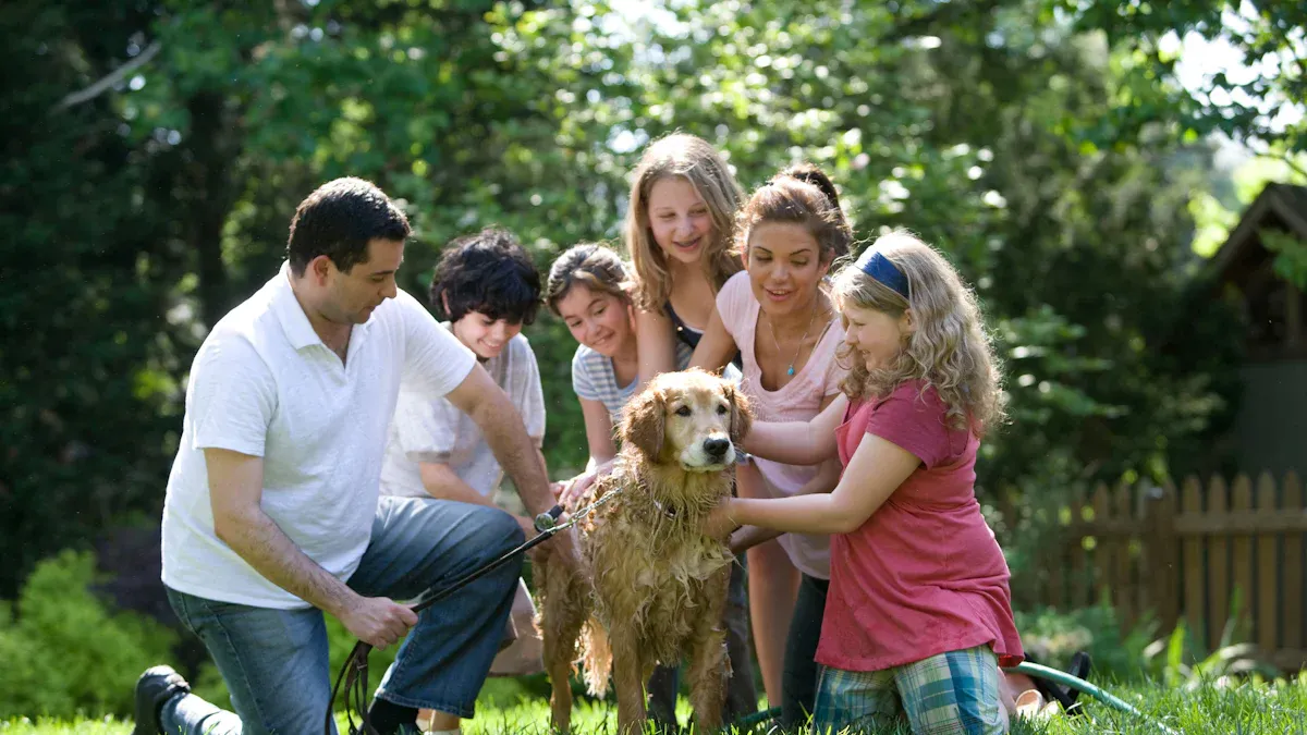 15 Dog Breeds That Make the Best House Dogs