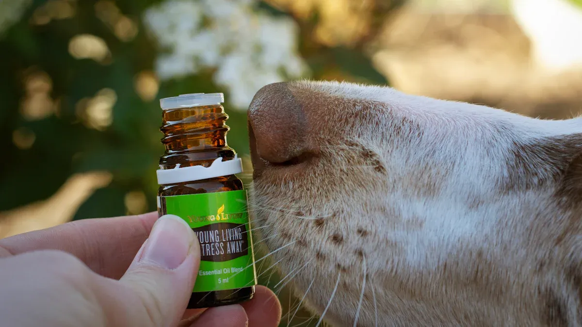 Lemon Eucalyptus Oil Overview