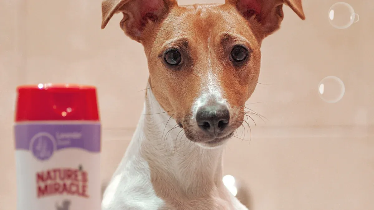 What Happens if Dogs Eat Crayons?