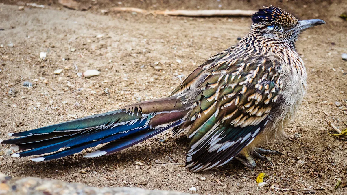 Iconic Arid-Land Species