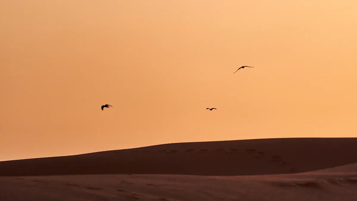 The Harsh Desert Environment