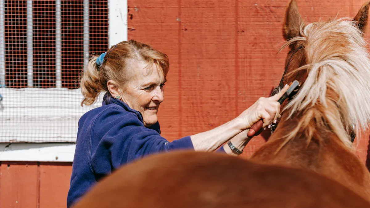 Symptoms of Lice in Horses