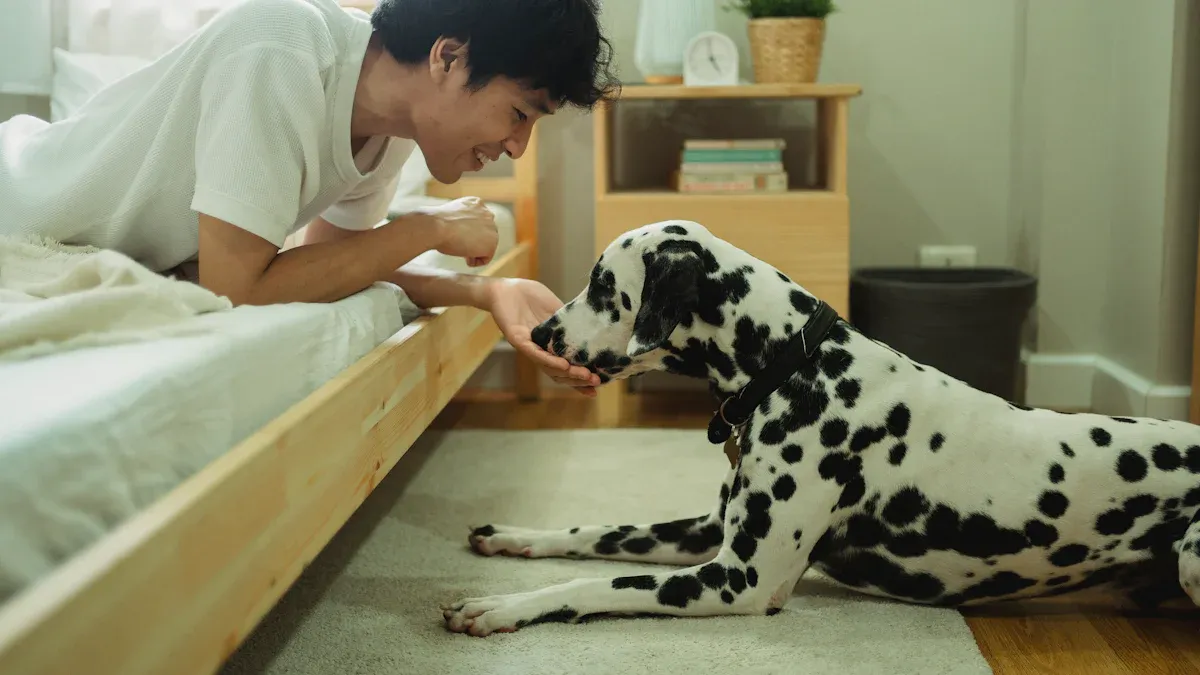 How Hearing Dogs Assist