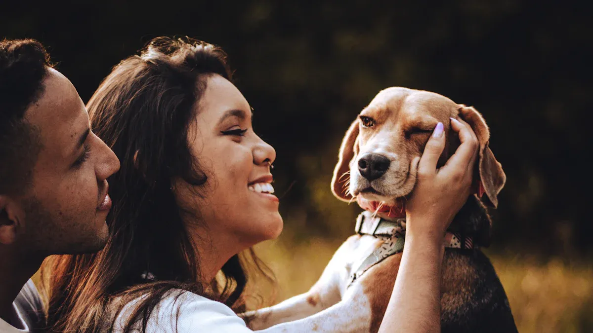 Our Most Friendly Animals: Domesticated Companions