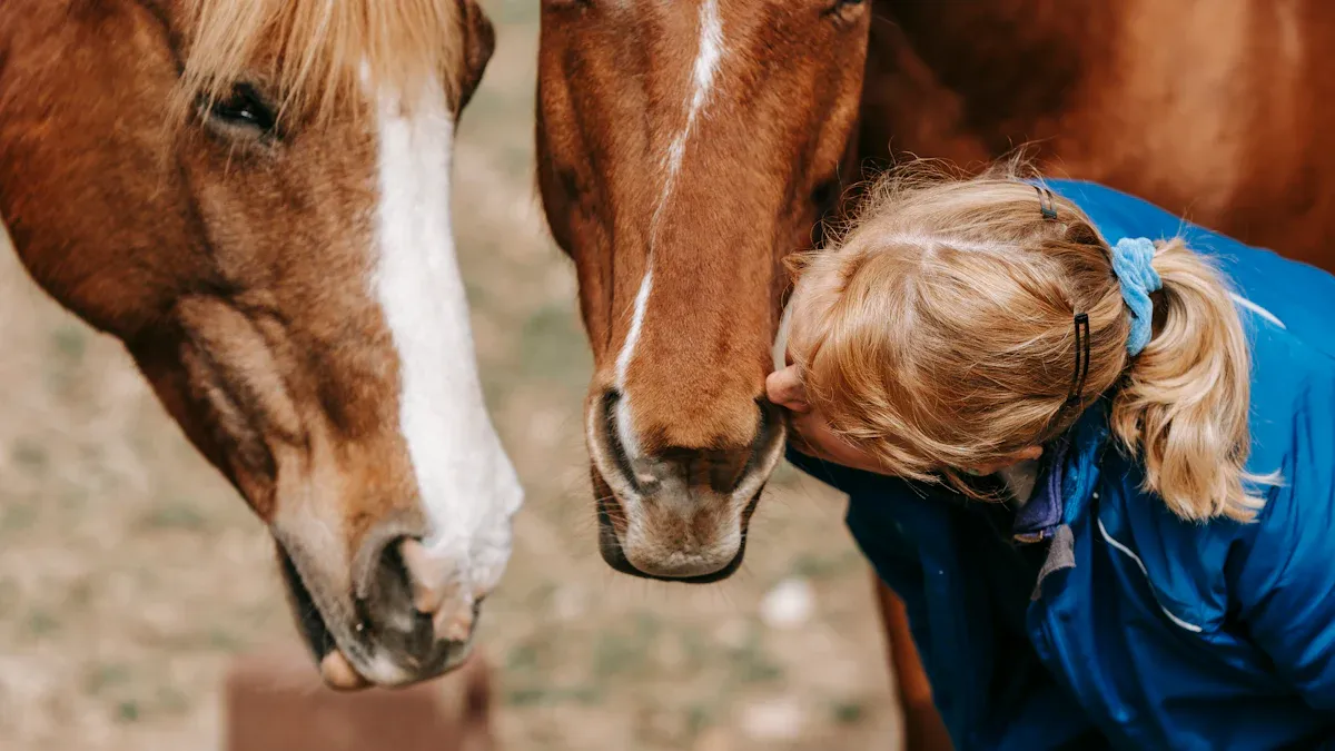 Health Benefits of Horse Feed