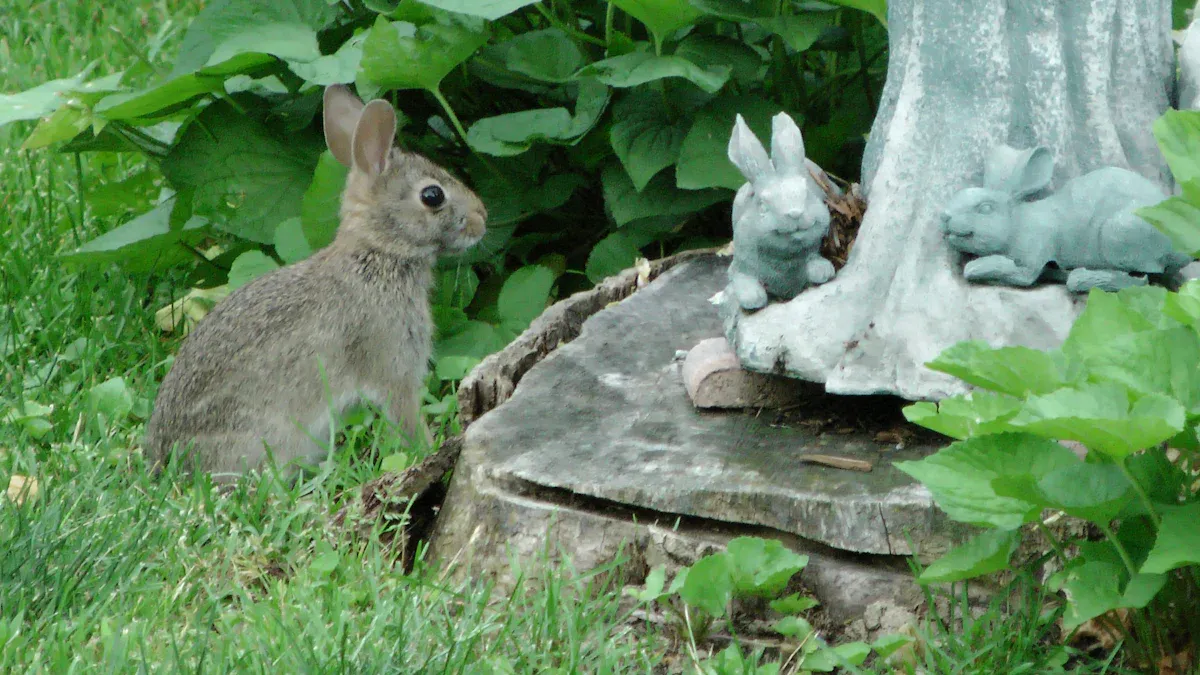 Limitations of Chicken Wire