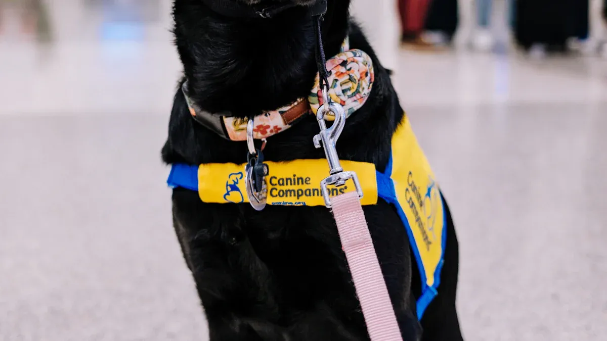 What is a Hearing Dog?