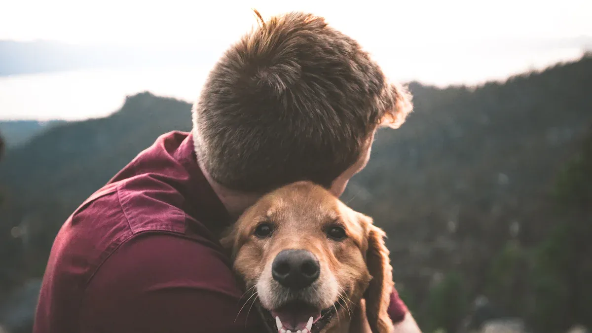 Friendliest Animals On Earth That Love Human Interaction: Identifying the Most Affectionate and Sociable Species