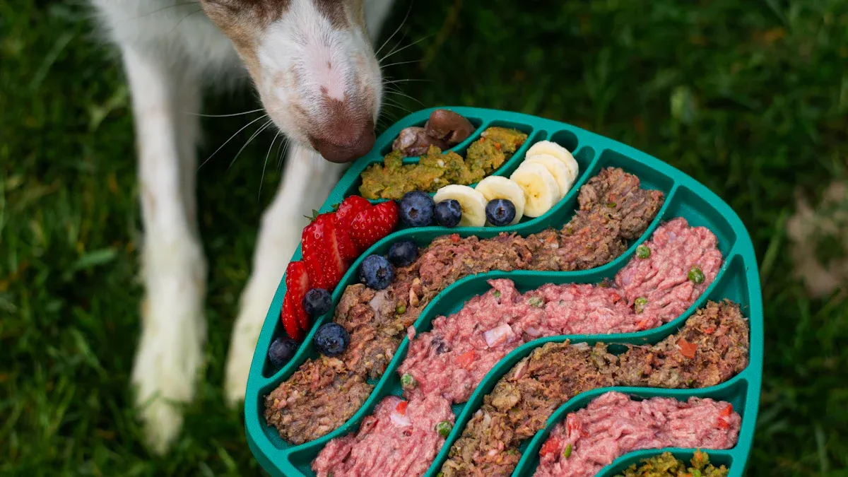 Top Dog Superfoods