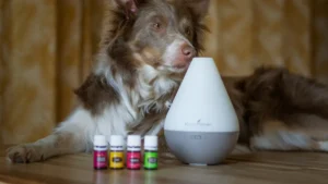 Is Repel Lemon Eucalyptus Safe for Dogs?