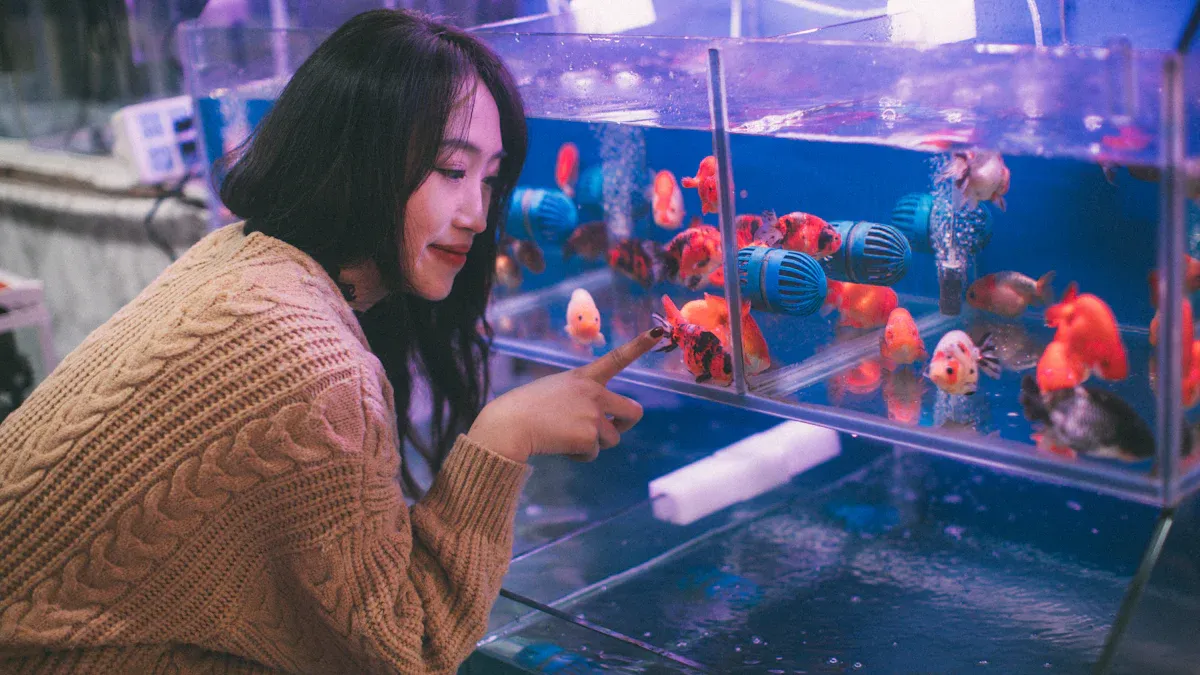 Choosing the Right Size Aquarium Airline