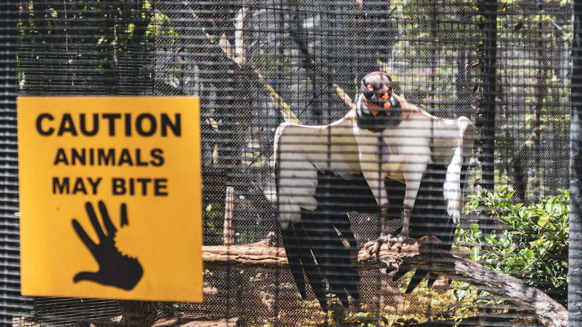 Preventative Mountain Lion Safety