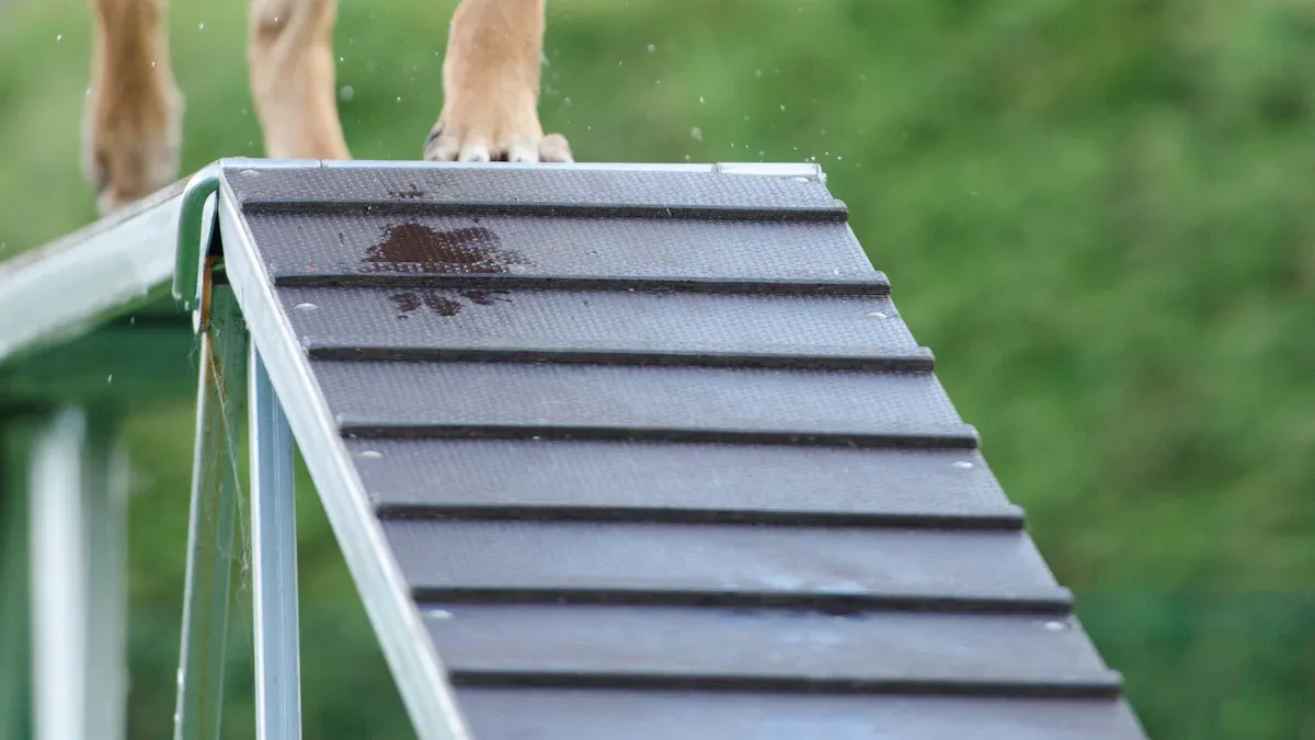 Do Doberman Pinschers turn on their owners? Myths, Temperament, and Understanding Dog Behavior