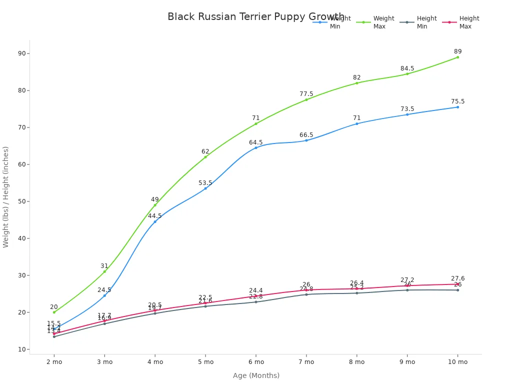 Line chart showing weight and height milestones for Black Russian Terrier puppies from 2 to 10 months