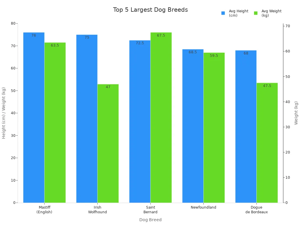 Bar chart comparing average height and weight of five largest dog breeds