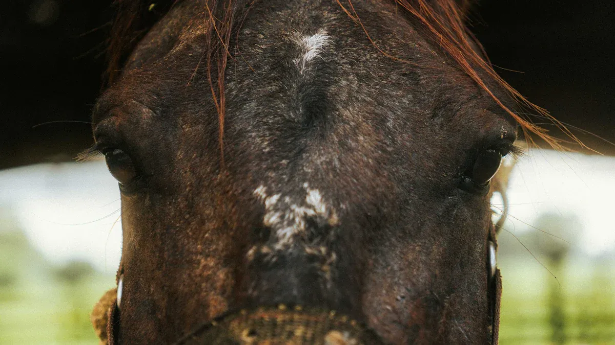 Horse Blood Types: Equine Genetics and Transfusion Compatibility for Health