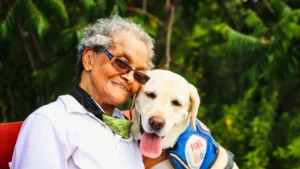 What is a Hearing Dog and How Do They Assist the Deaf?