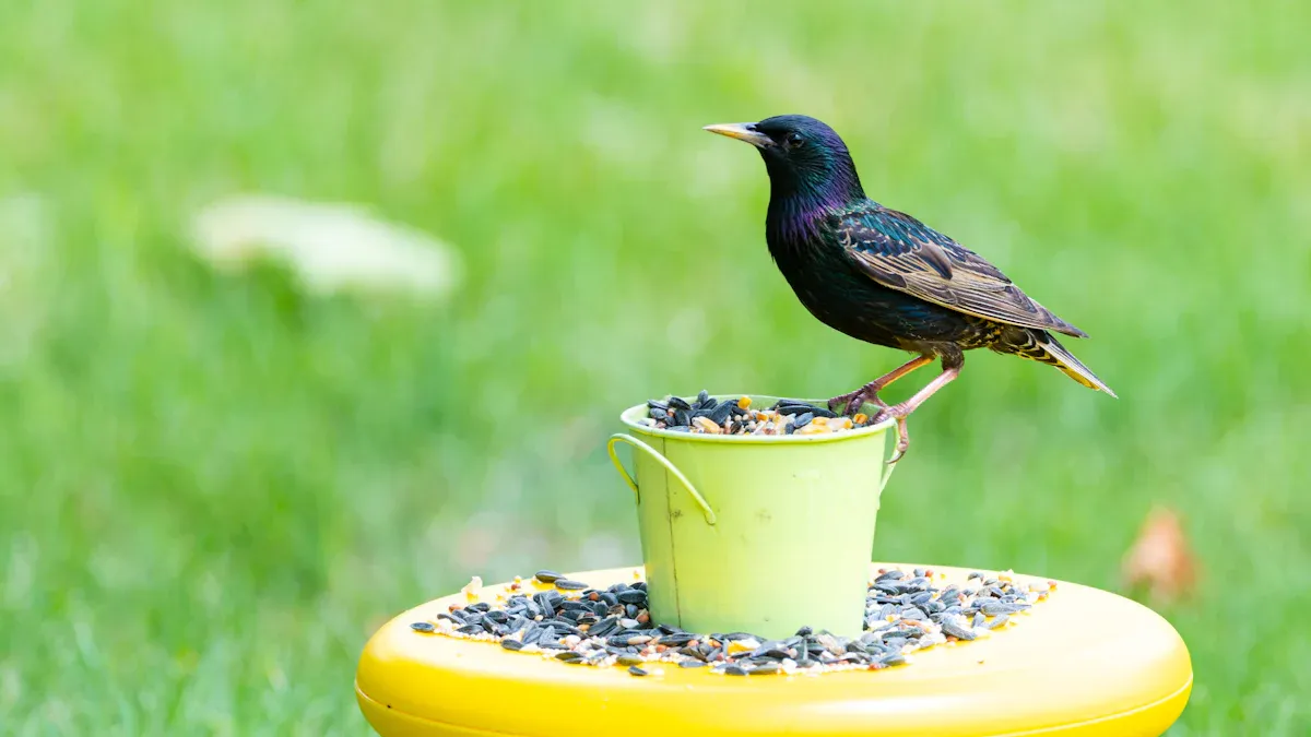 Attracting Winter Birds to Your Backyard