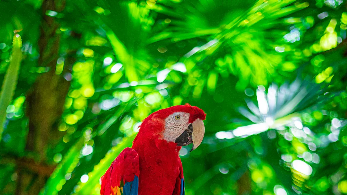 Iconic Bird Species