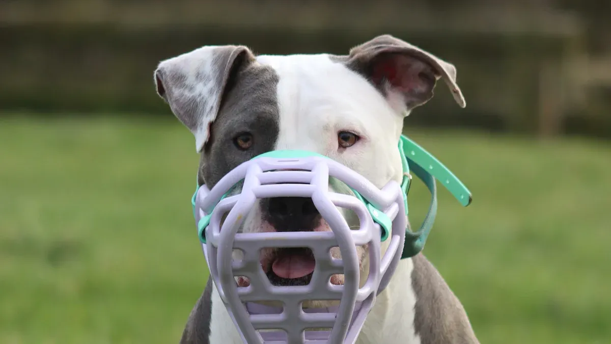 Types of Dog Muzzles