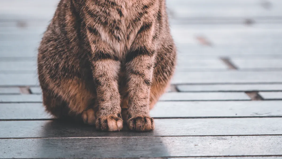 Body Language: Key Physical Cues