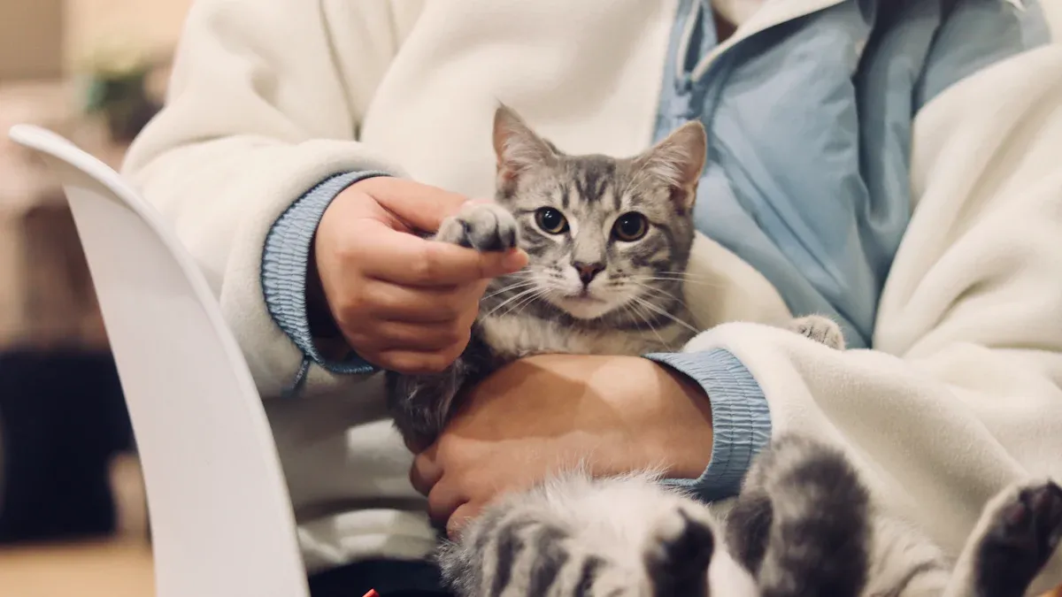 10 Vital Safety Tips for Cat Collars