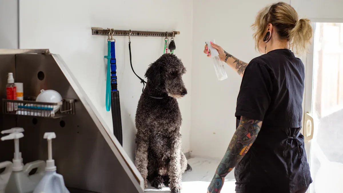 Poodle Coat & Grooming Basics