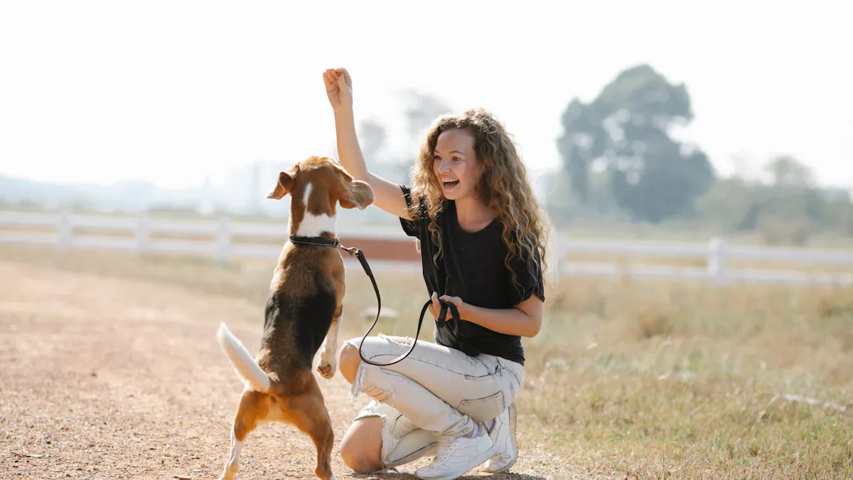 Dog Tricks: 10 Fun & Easy Commands to Teach Your Pup