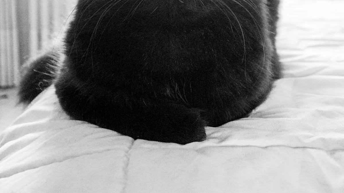 Tail Positions: What They Mean